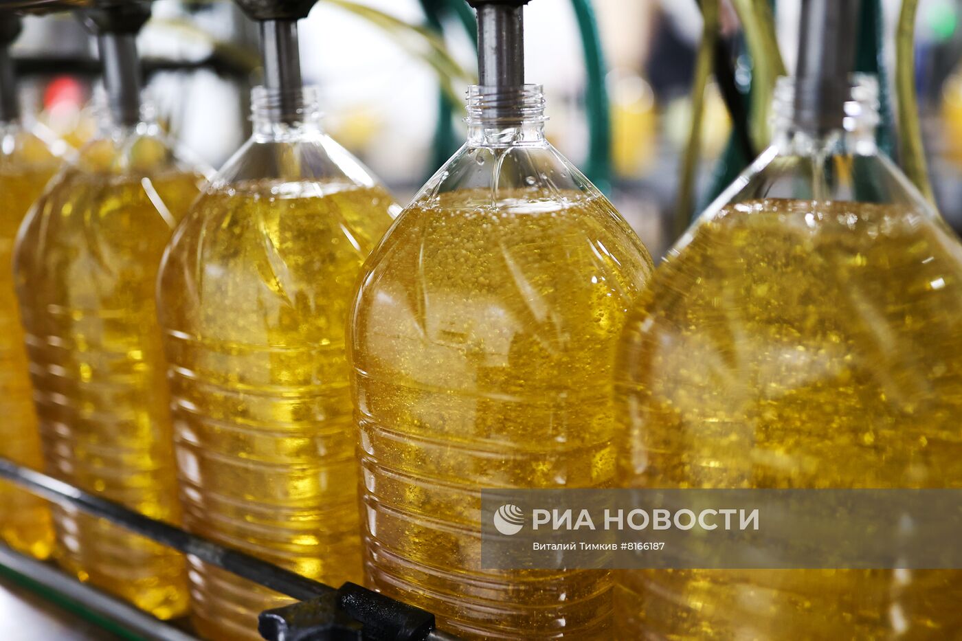 Производство растительных масел в Краснодарском крае