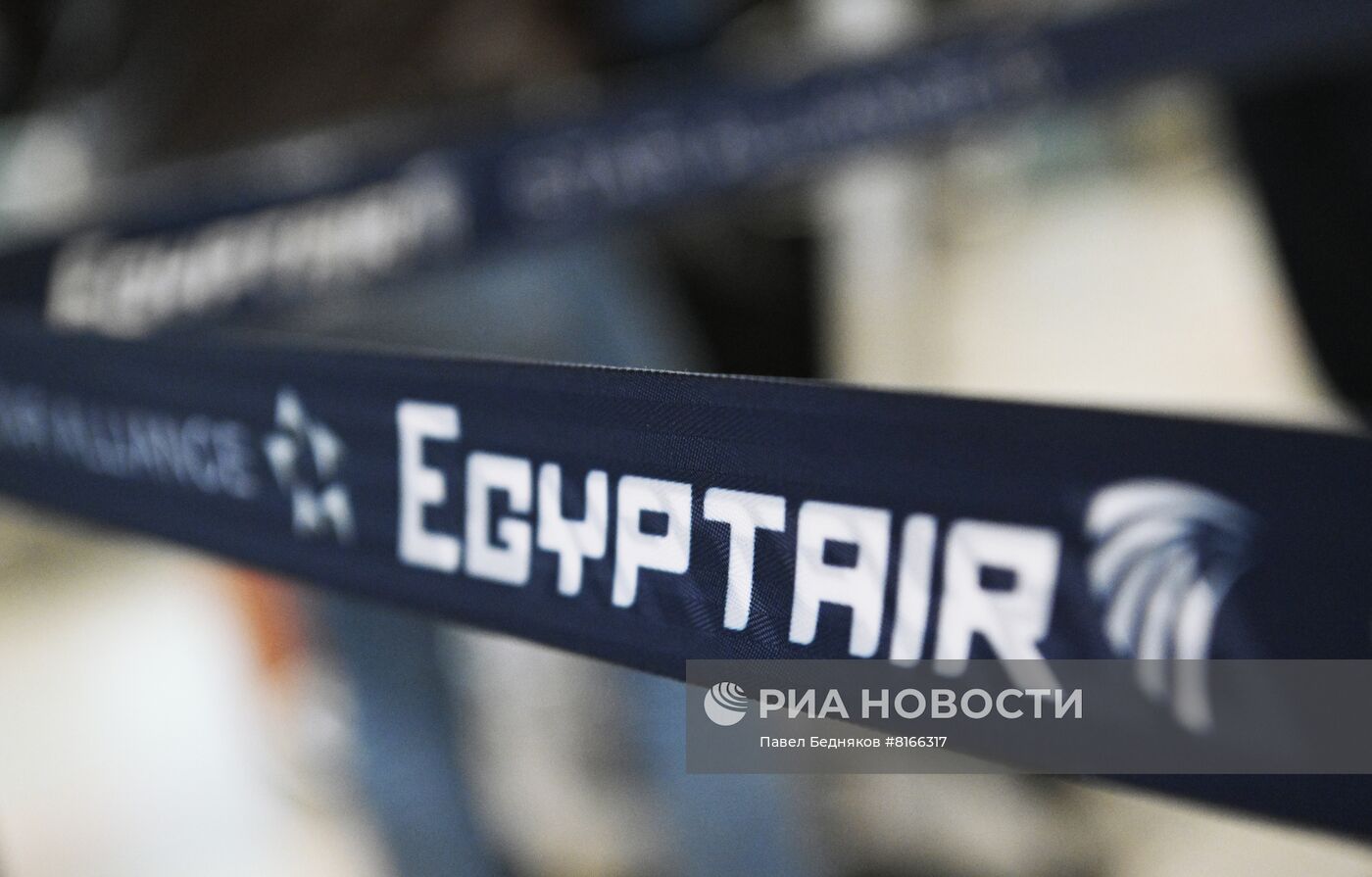 Возобновление регулярных рейсов авиакомпании EgyptAir между Москвой и Каиром