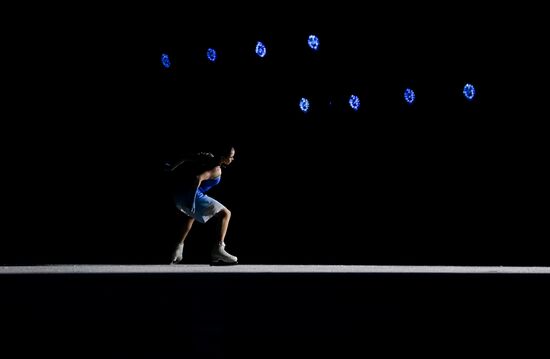 Юбилейное гала-шоу "Ледниковый период"