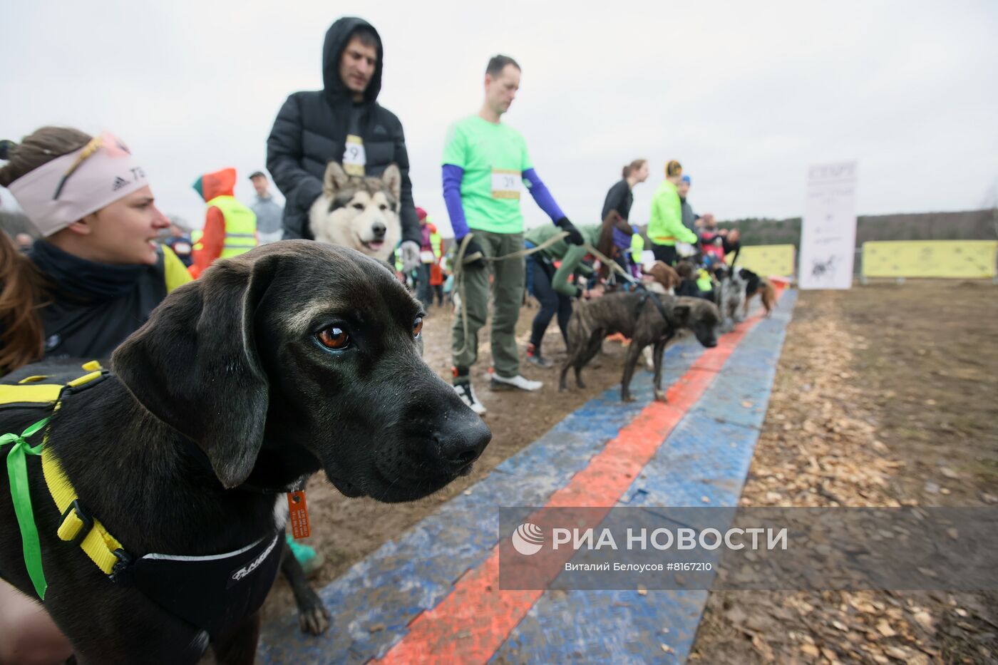 Кросс Лисья гора 2022