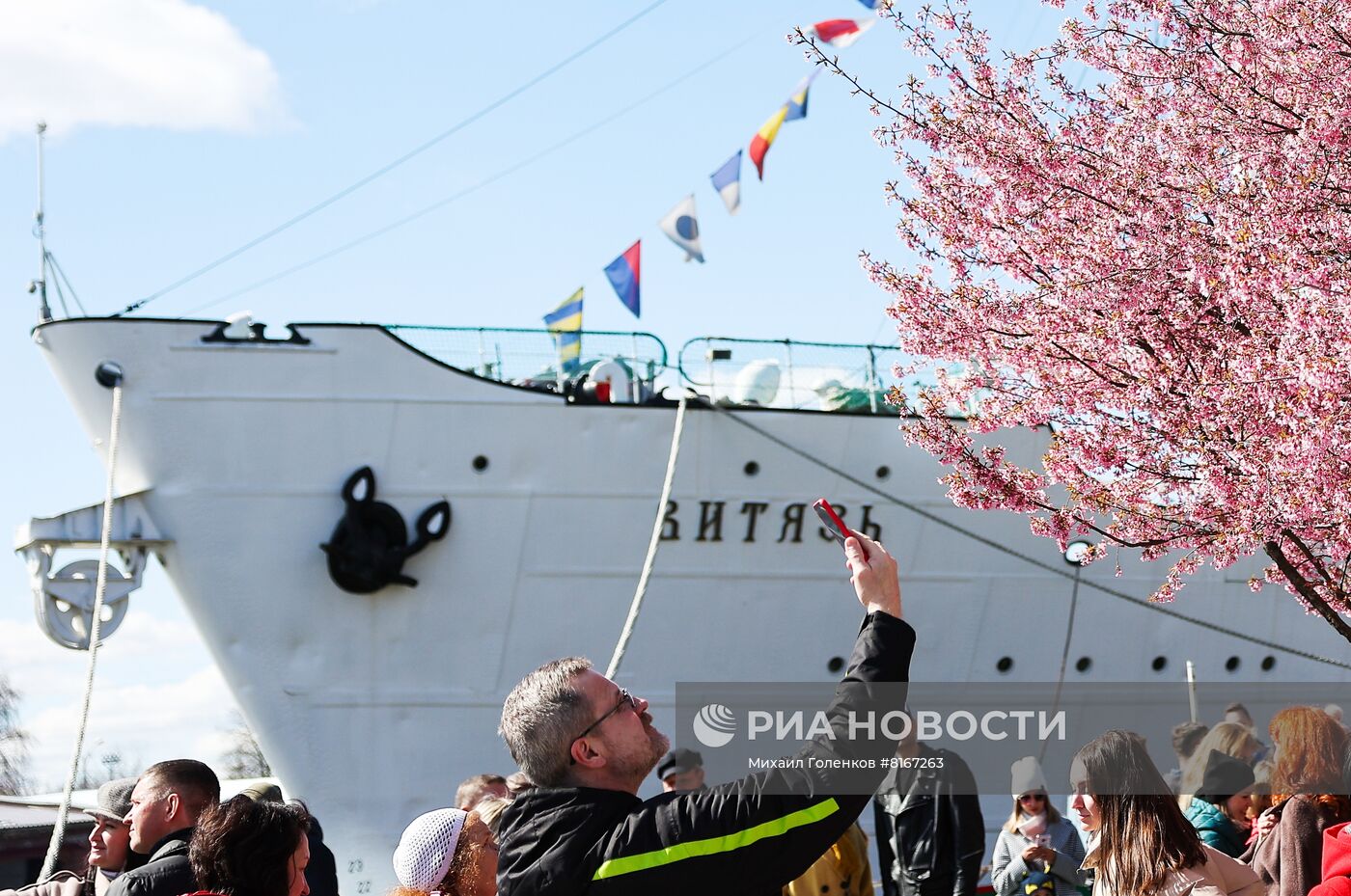 Праздник "День селедки" в Калининграде