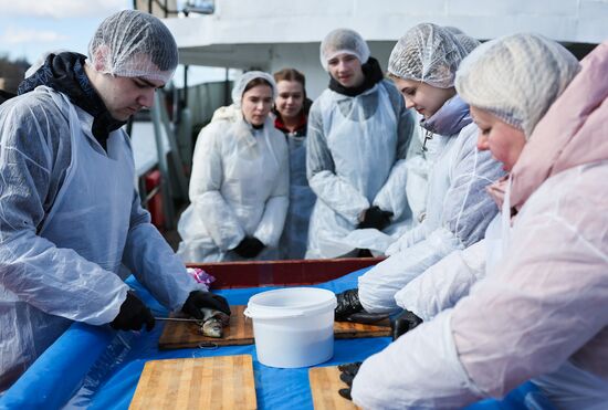 Праздник "День селедки" в Калининграде