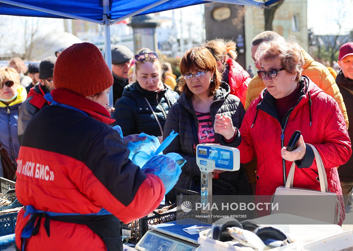 Праздник "День селедки" в Калининграде