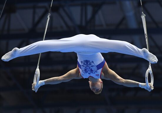 Спортивная гимнастика. Чемпионат России. Мужчины. Отдельные виды