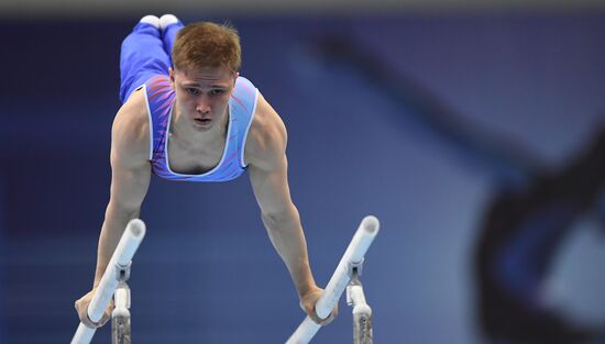 Спортивная гимнастика чемпионат россии 2024 отдельные виды