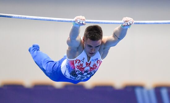 Спортивная гимнастика. Чемпионат России. Мужчины. Отдельные виды