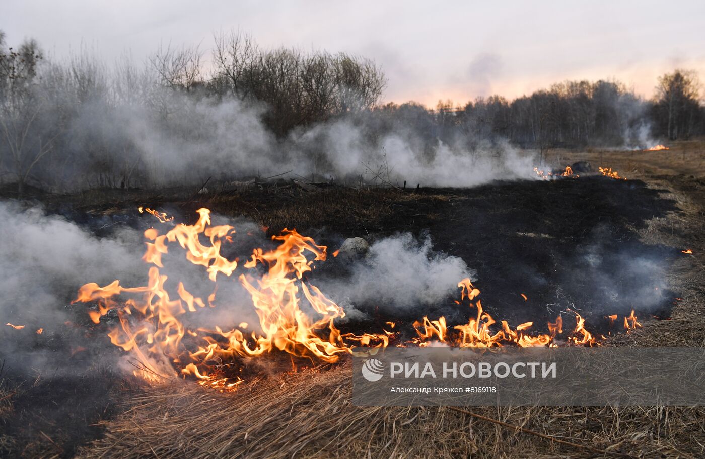 Сухая трава горит в Новосибирской области