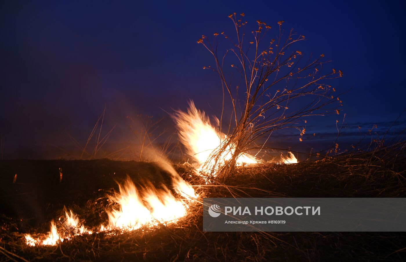 Сухая трава горит в Новосибирской области