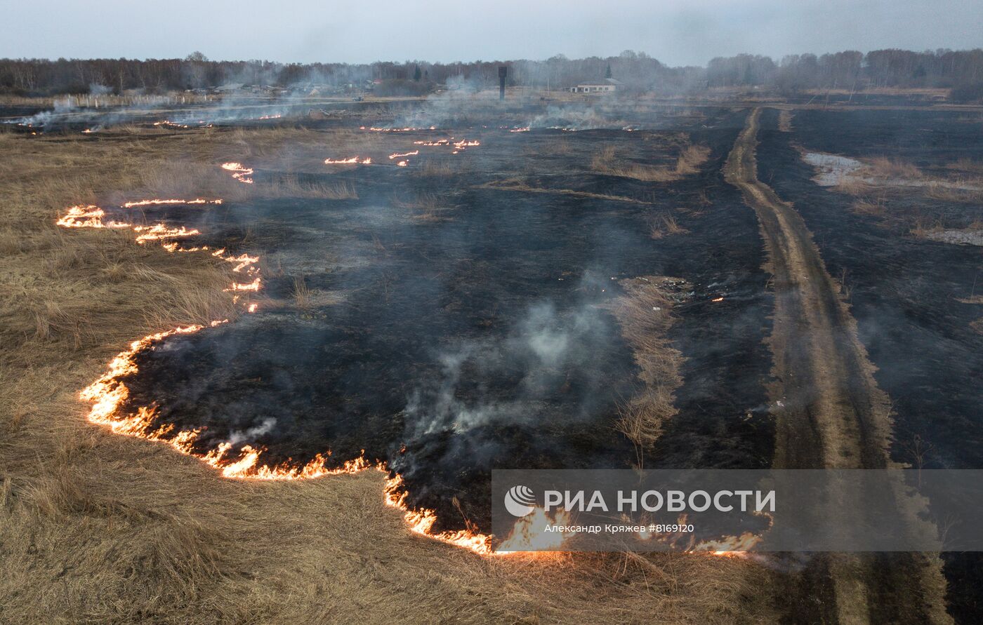 Сухая трава горит в Новосибирской области