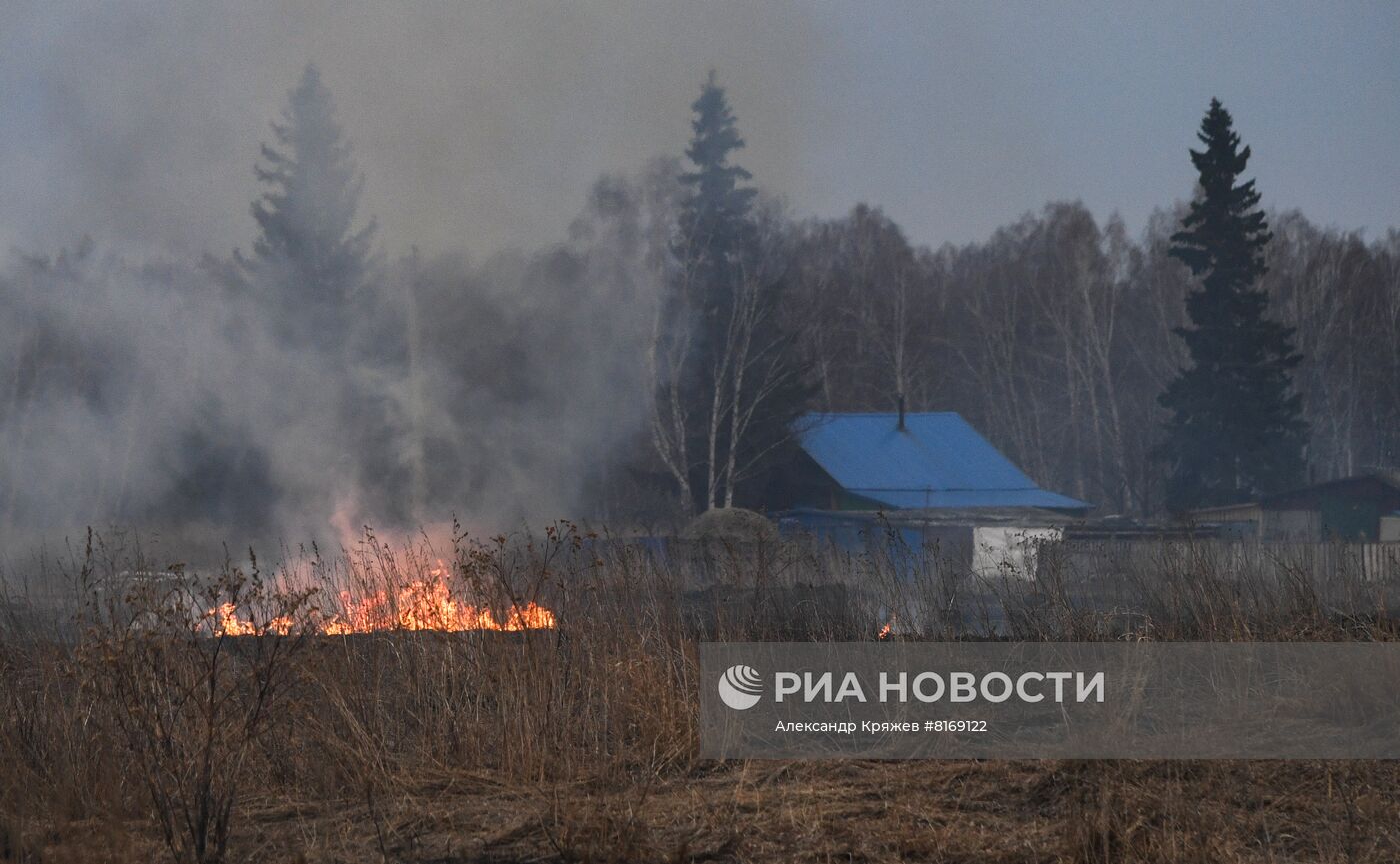 Сухая трава горит в Новосибирской области