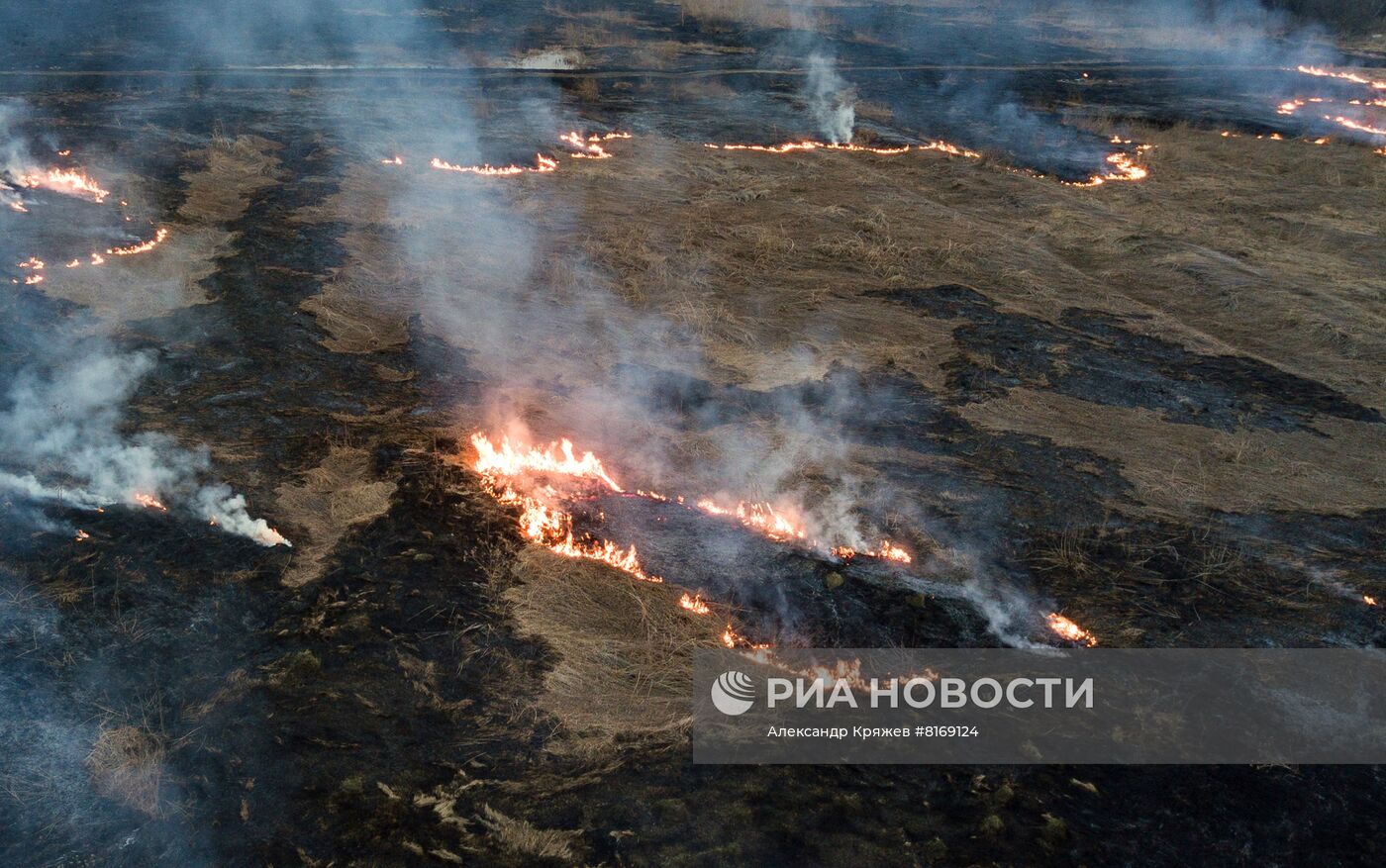 Сухая трава горит в Новосибирской области