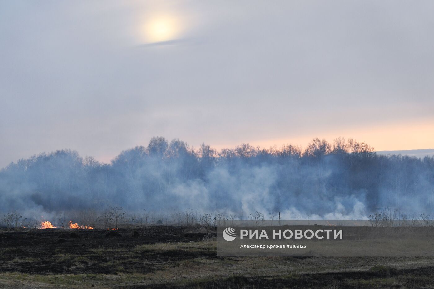 Сухая трава горит в Новосибирской области