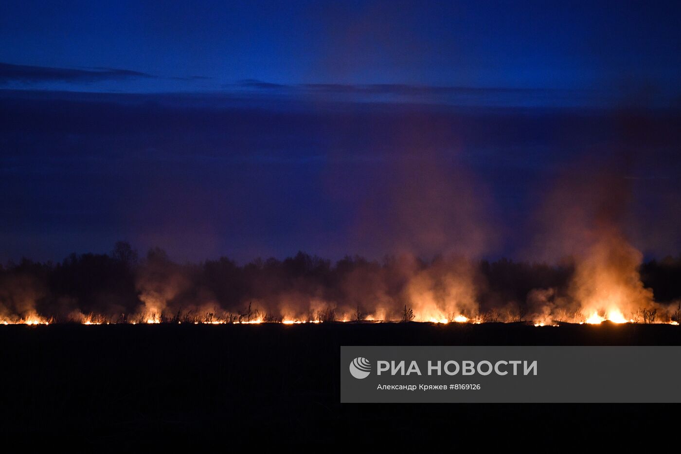 Сухая трава горит в Новосибирской области