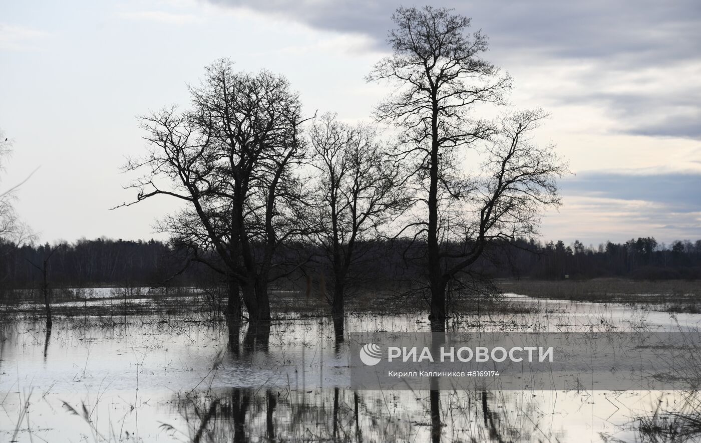 Весеннее половодье в регионах России