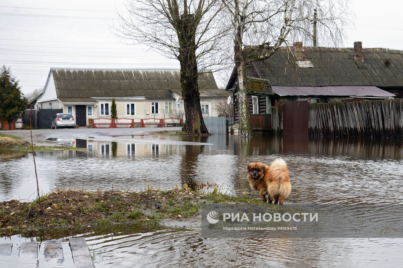 Весеннее половодье в регионах России