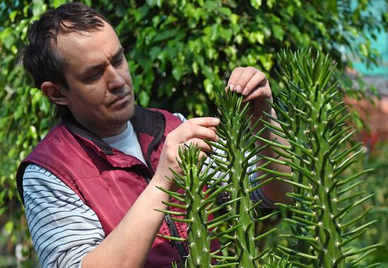 Тепличное хозяйство в Красноярске
