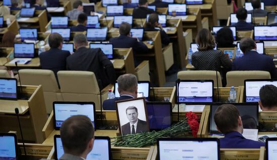 Пленарное заседание Госдумы РФ