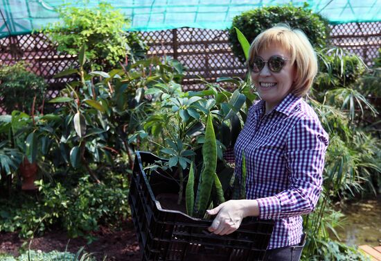 Тепличное хозяйство в Красноярске