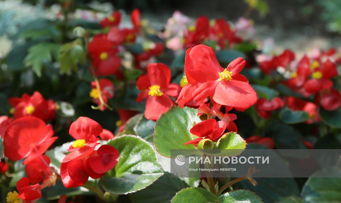 Тепличное хозяйство в Красноярске