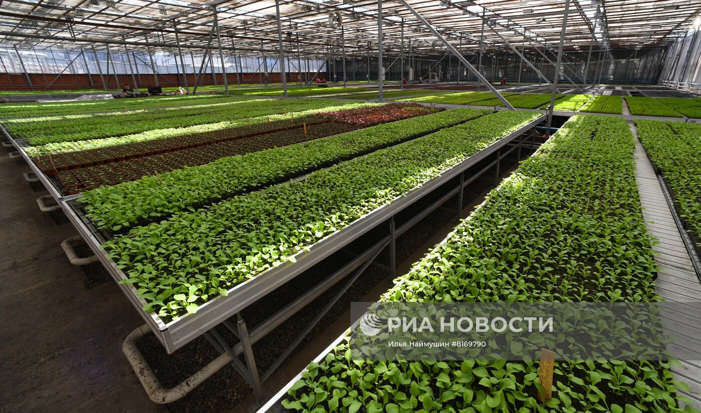 Тепличное хозяйство в Красноярске