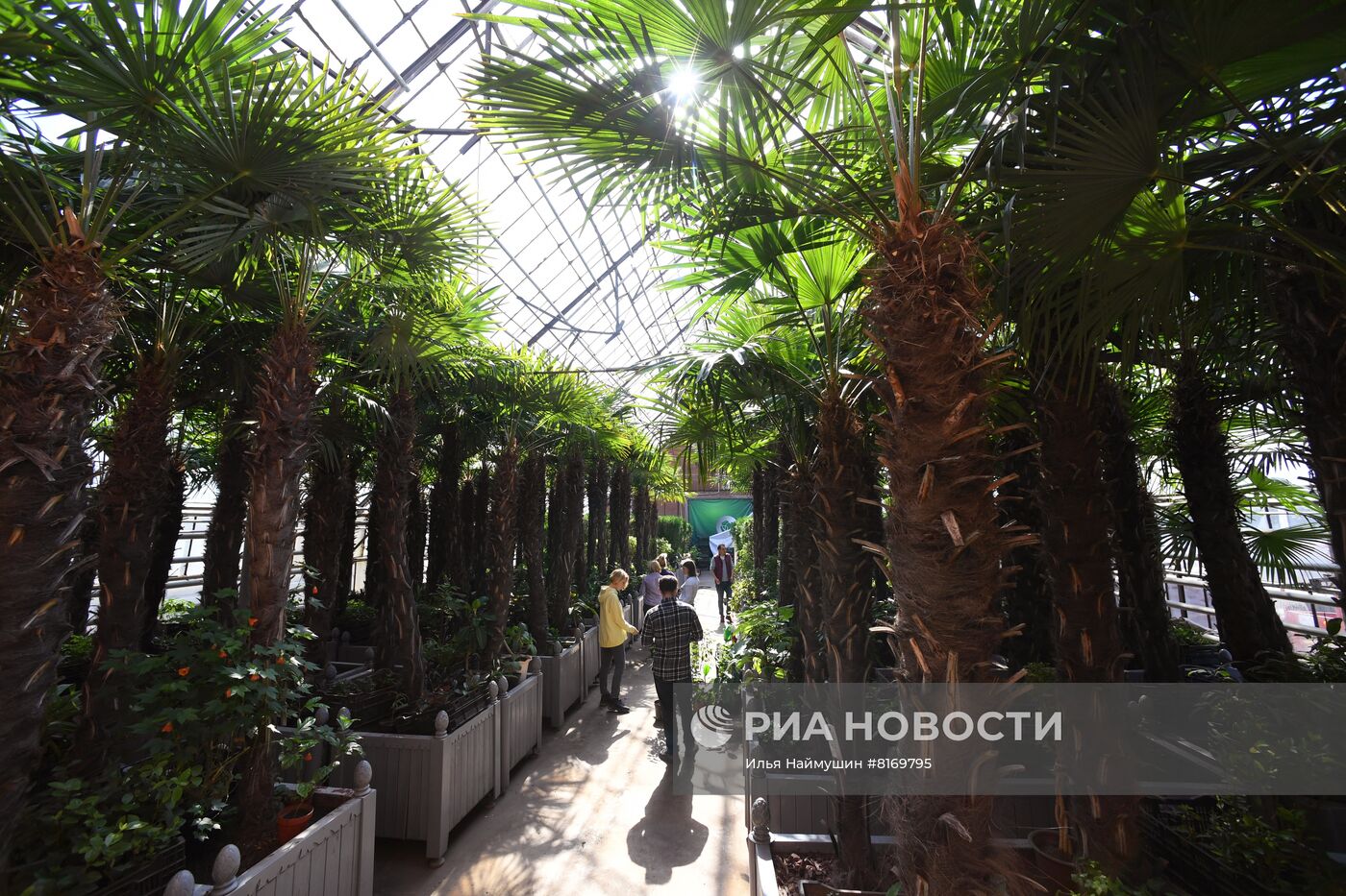 Тепличное хозяйство в Красноярске