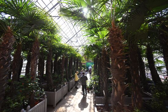 Тепличное хозяйство в Красноярске