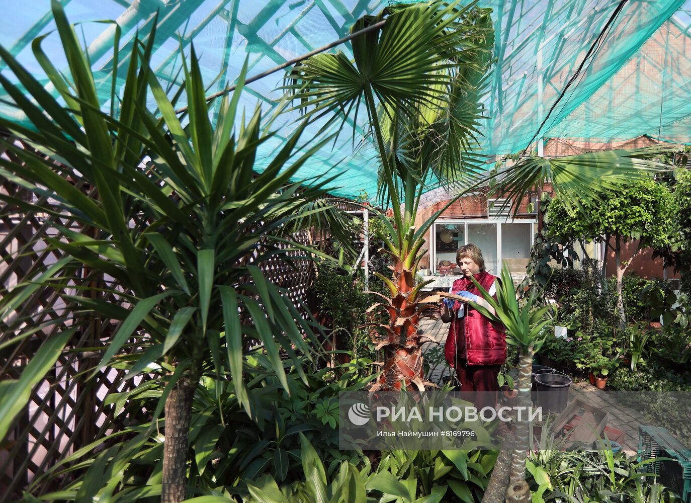 Тепличное хозяйство в Красноярске