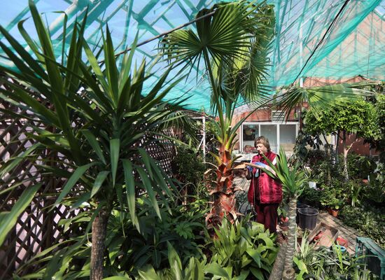 Тепличное хозяйство в Красноярске