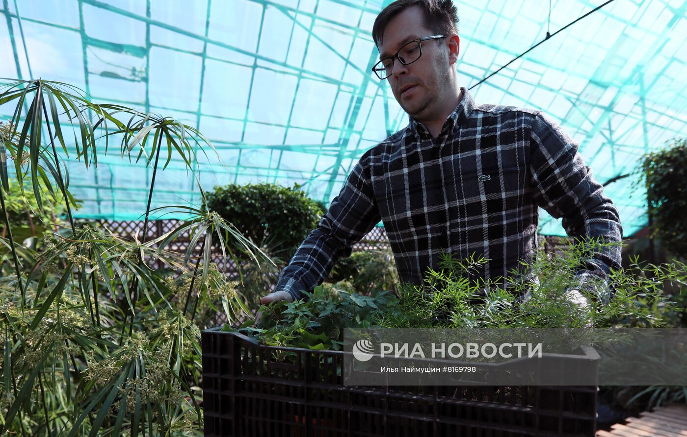 Тепличное хозяйство в Красноярске