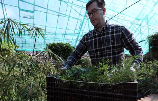 Тепличное хозяйство в Красноярске