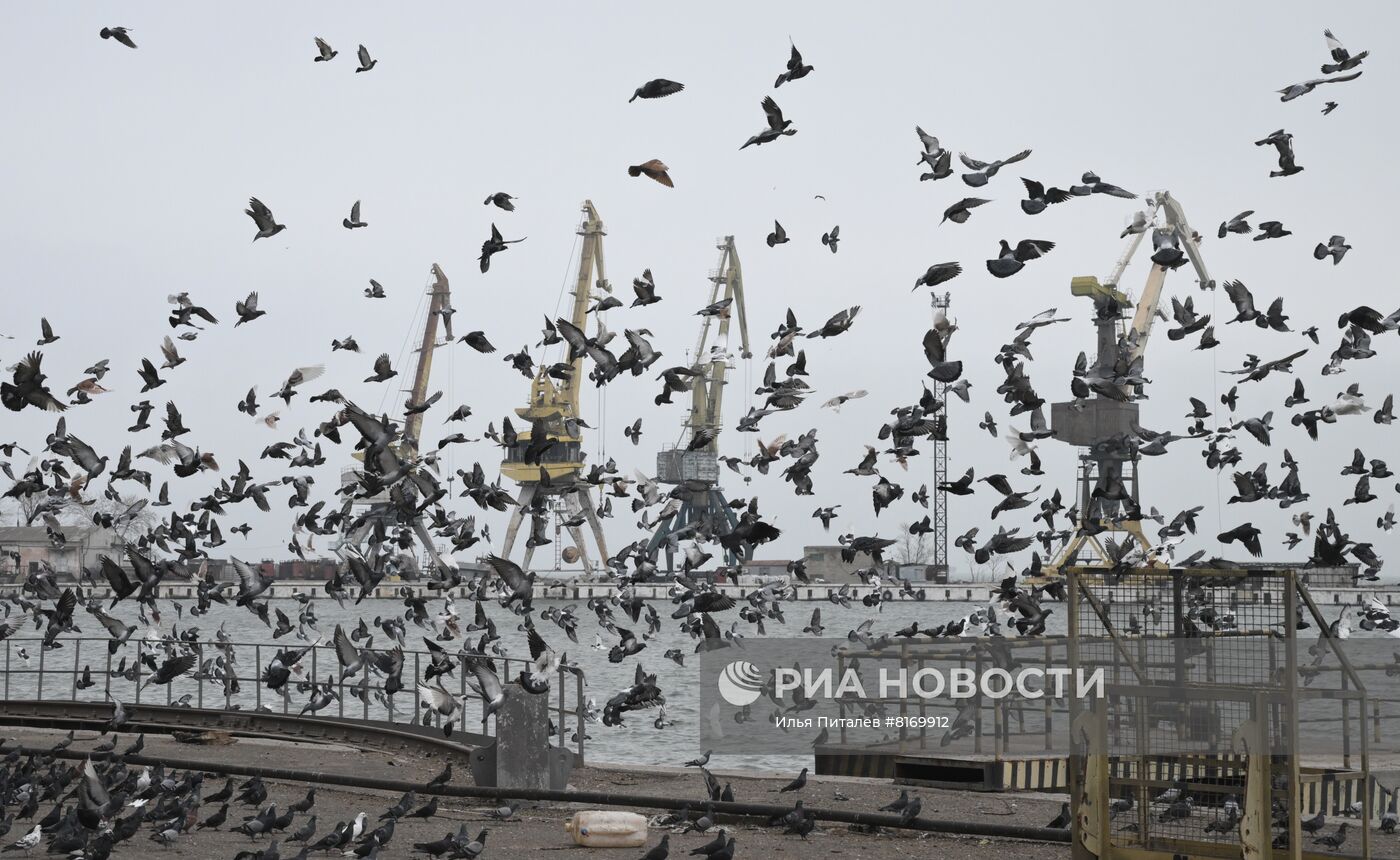 Мариупольский морской порт