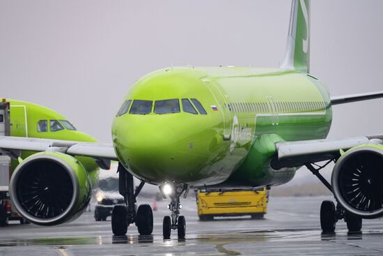 Самолеты авиакомпании S7 в аэропорту Толмачево в Новосибирске