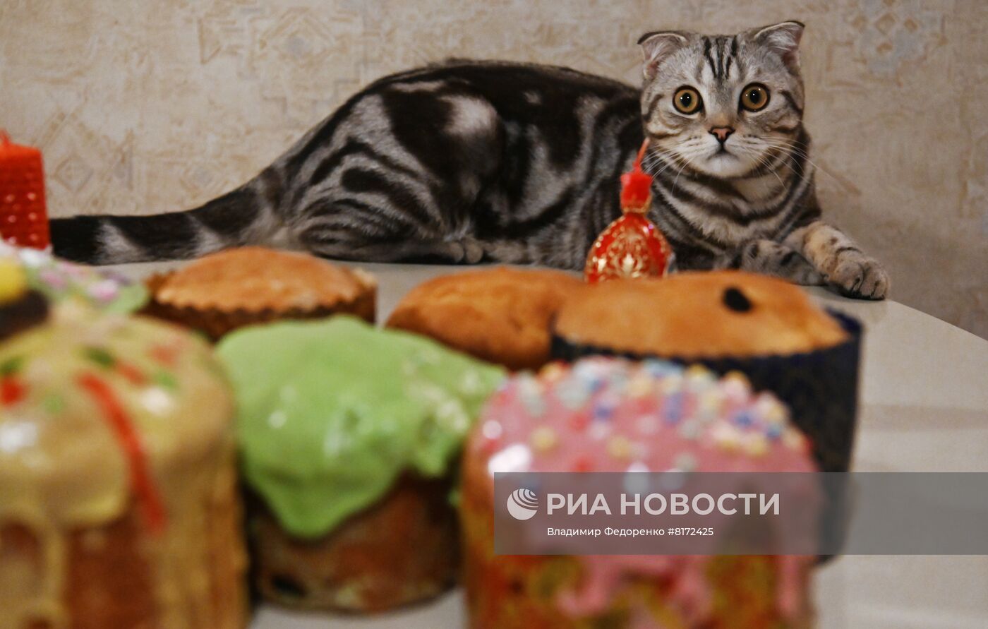 Подготовка к празднованию Пасхи