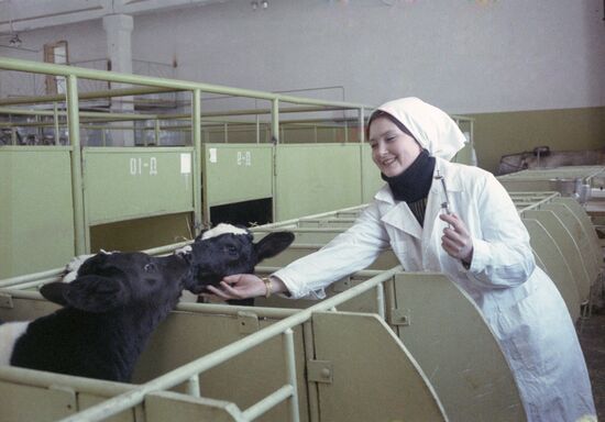 Колхоз имени В. И. Ленина
