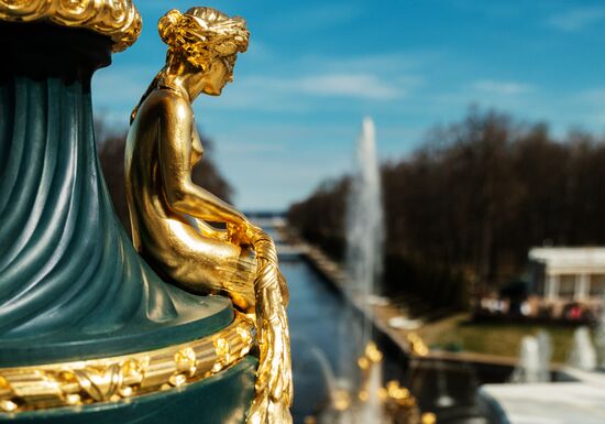 В Петергофе открылся сезон фонтанов