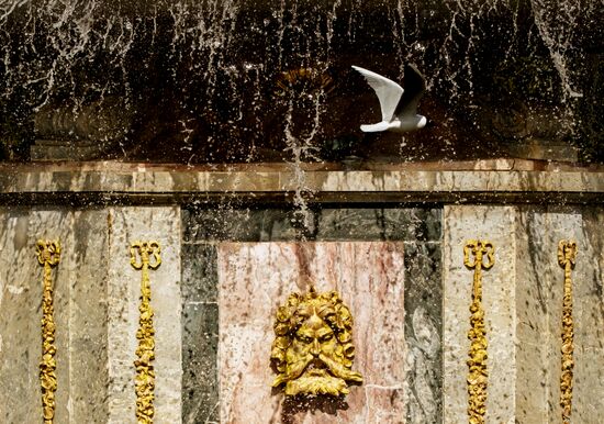 В Петергофе открылся сезон фонтанов