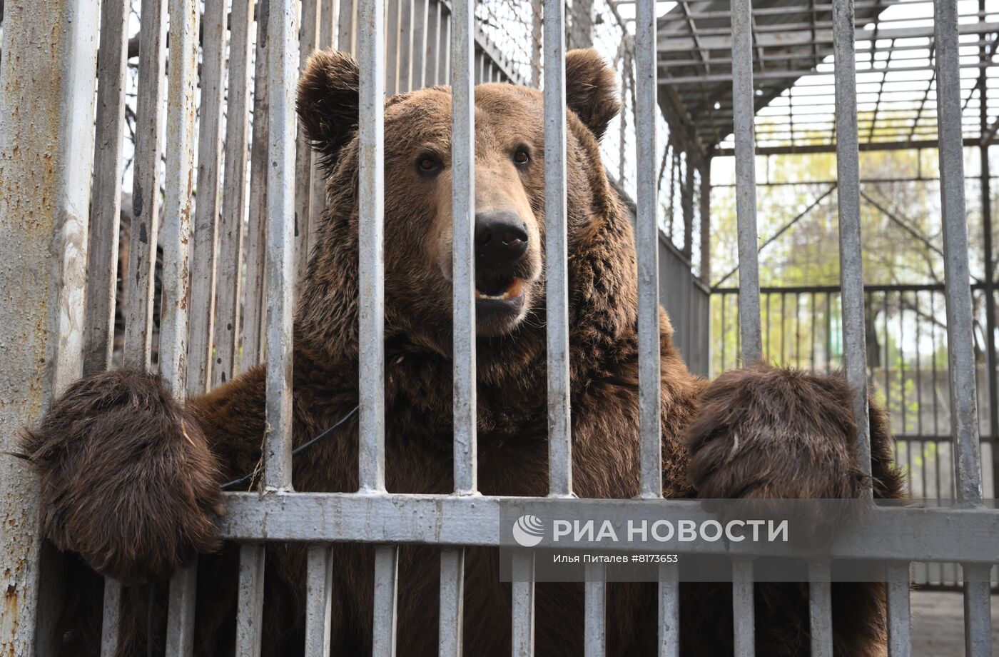 Мариупольский зоопарк