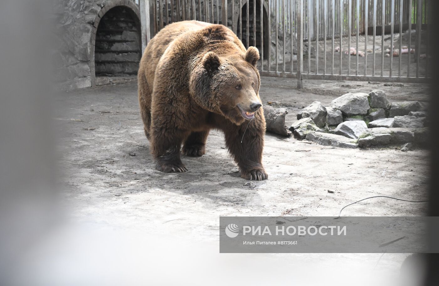 Мариупольский зоопарк