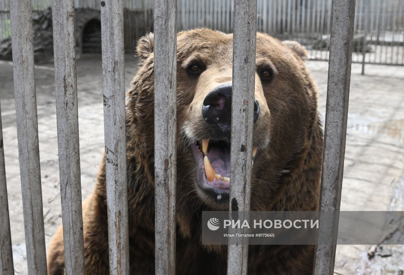 Мариупольский зоопарк
