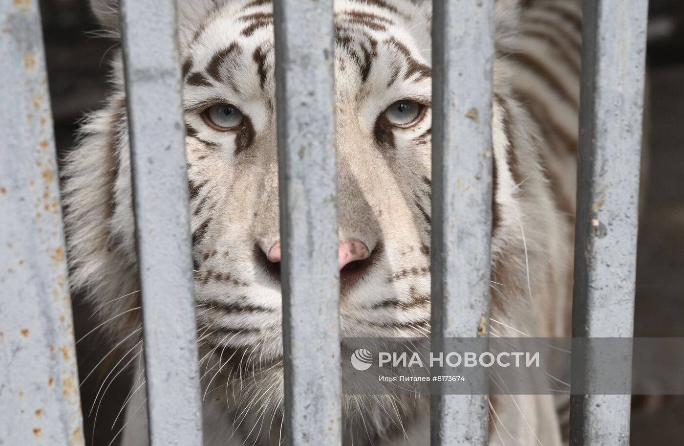 Мариупольский зоопарк