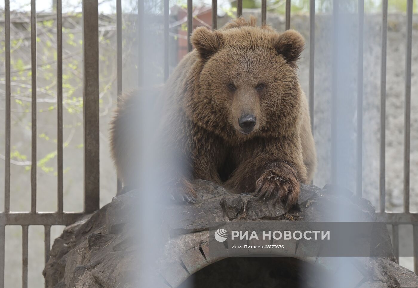 Мариупольский зоопарк