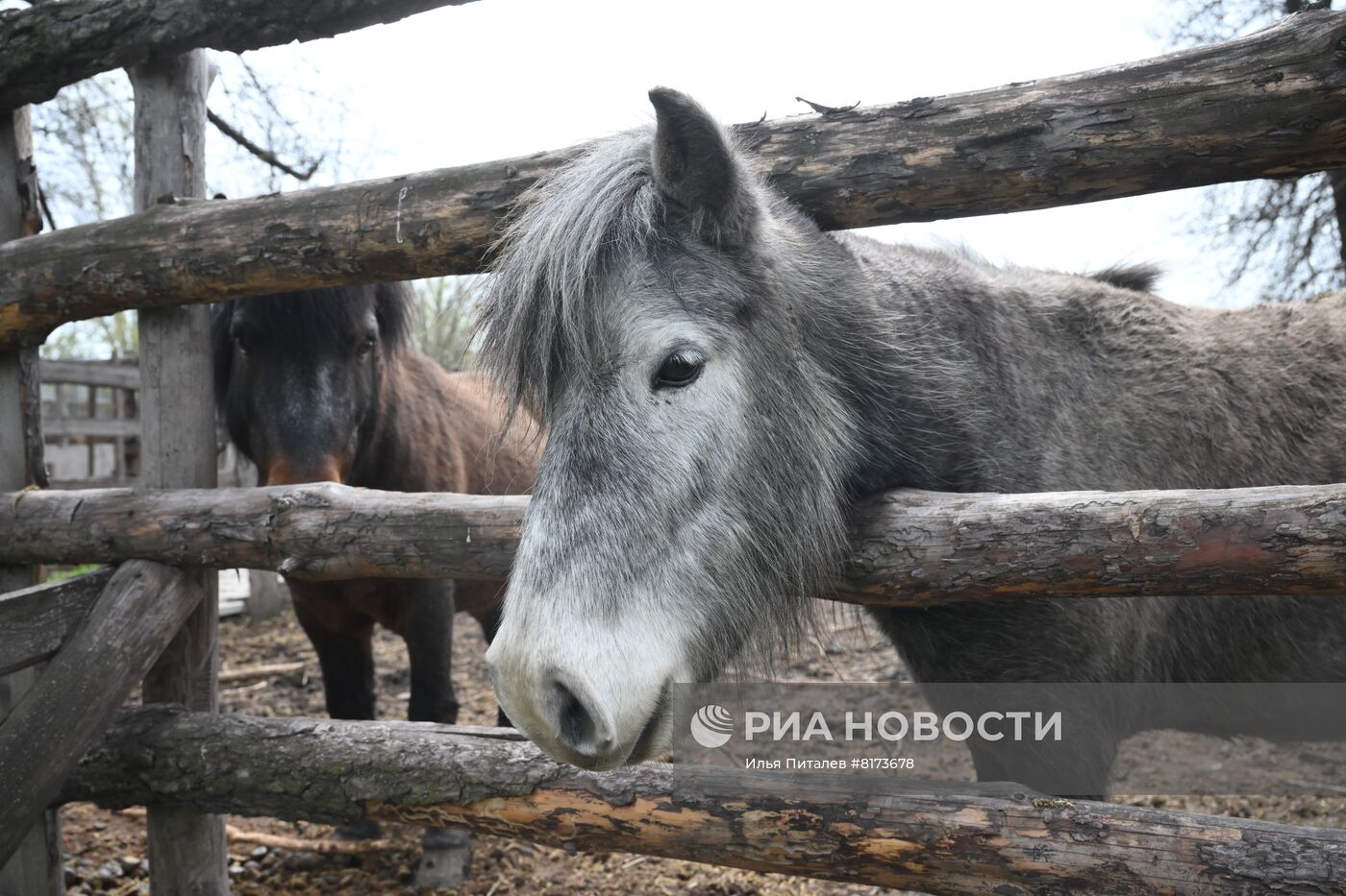 Мариупольский зоопарк