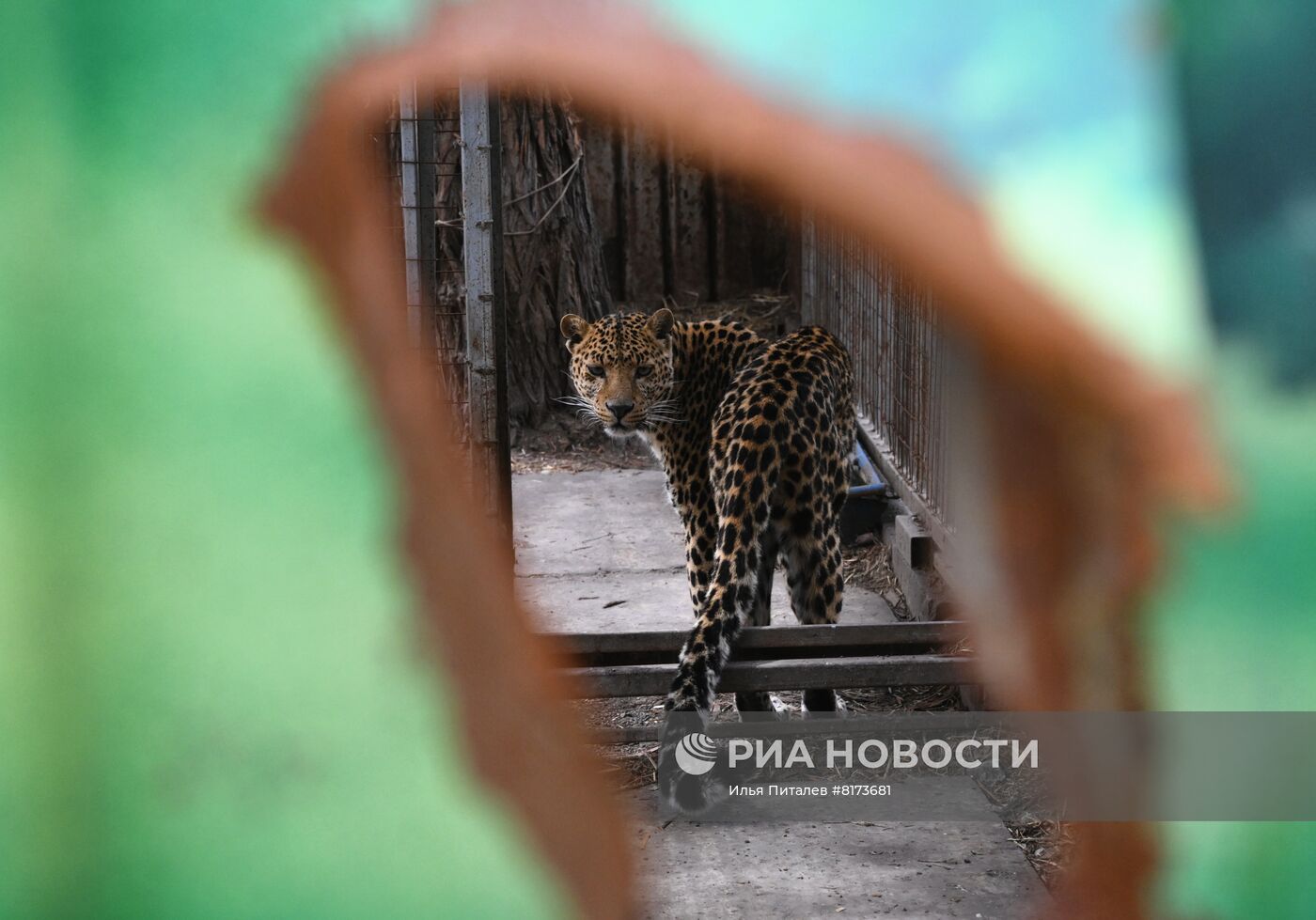 Мариупольский зоопарк