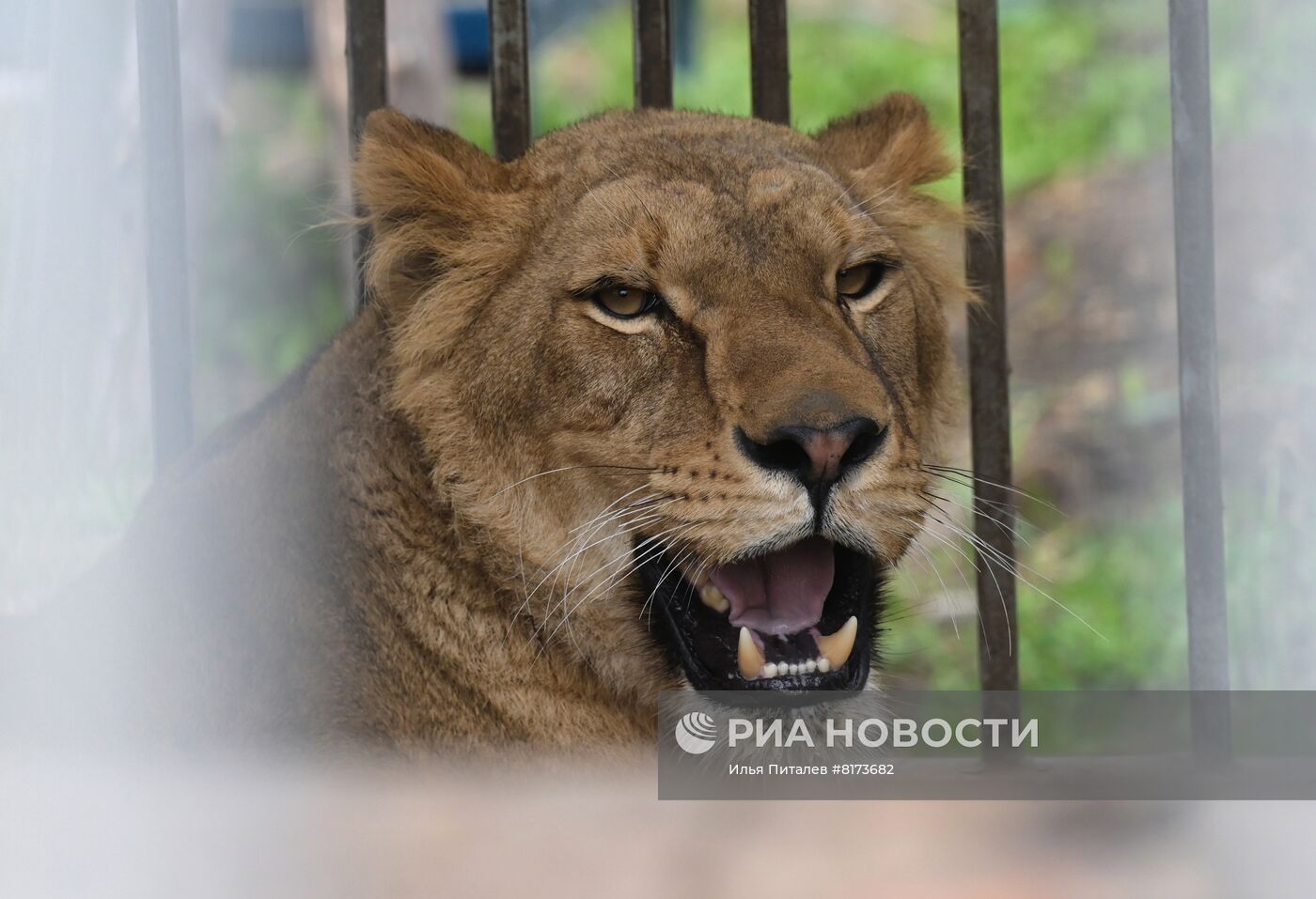 Мариупольский зоопарк