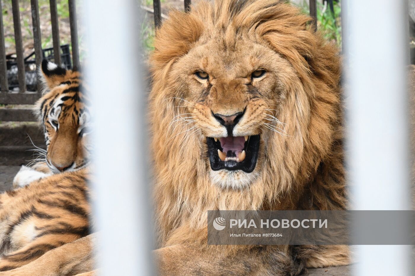 Мариупольский зоопарк