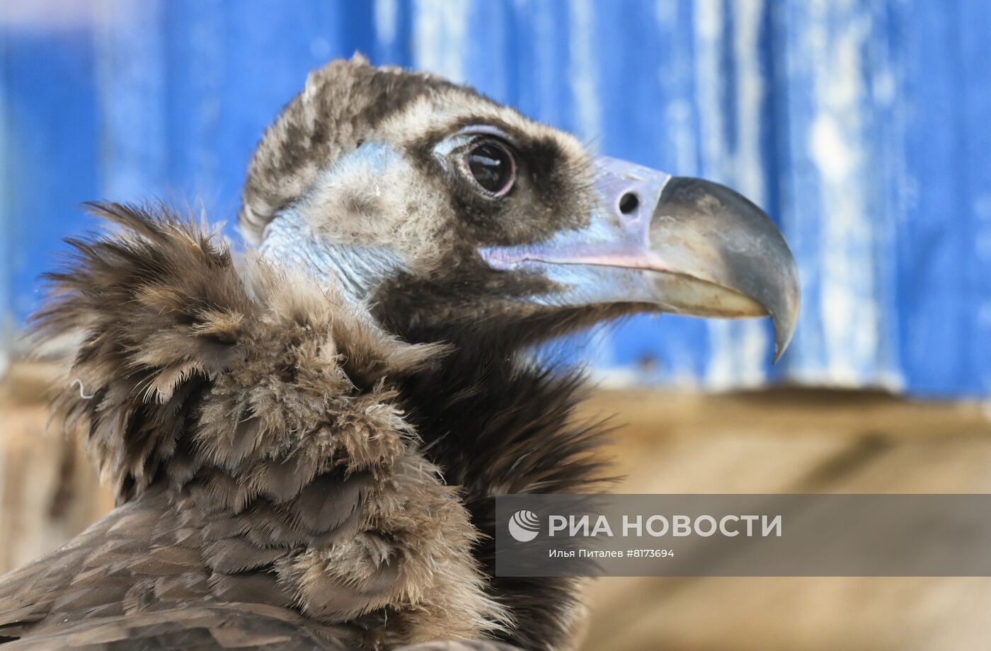 Мариупольский зоопарк