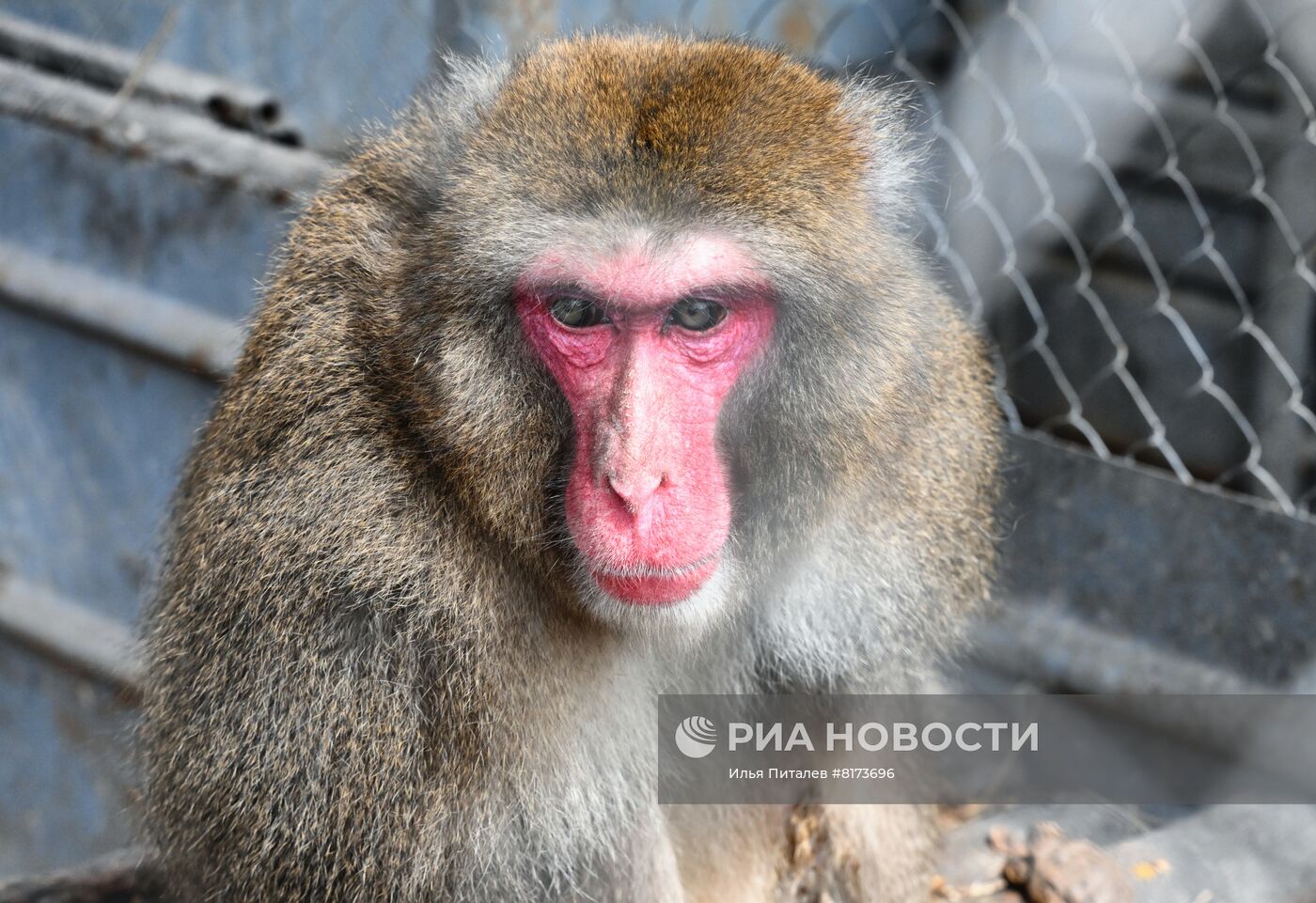 Мариупольский зоопарк