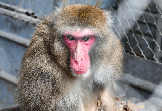 Мариупольский зоопарк