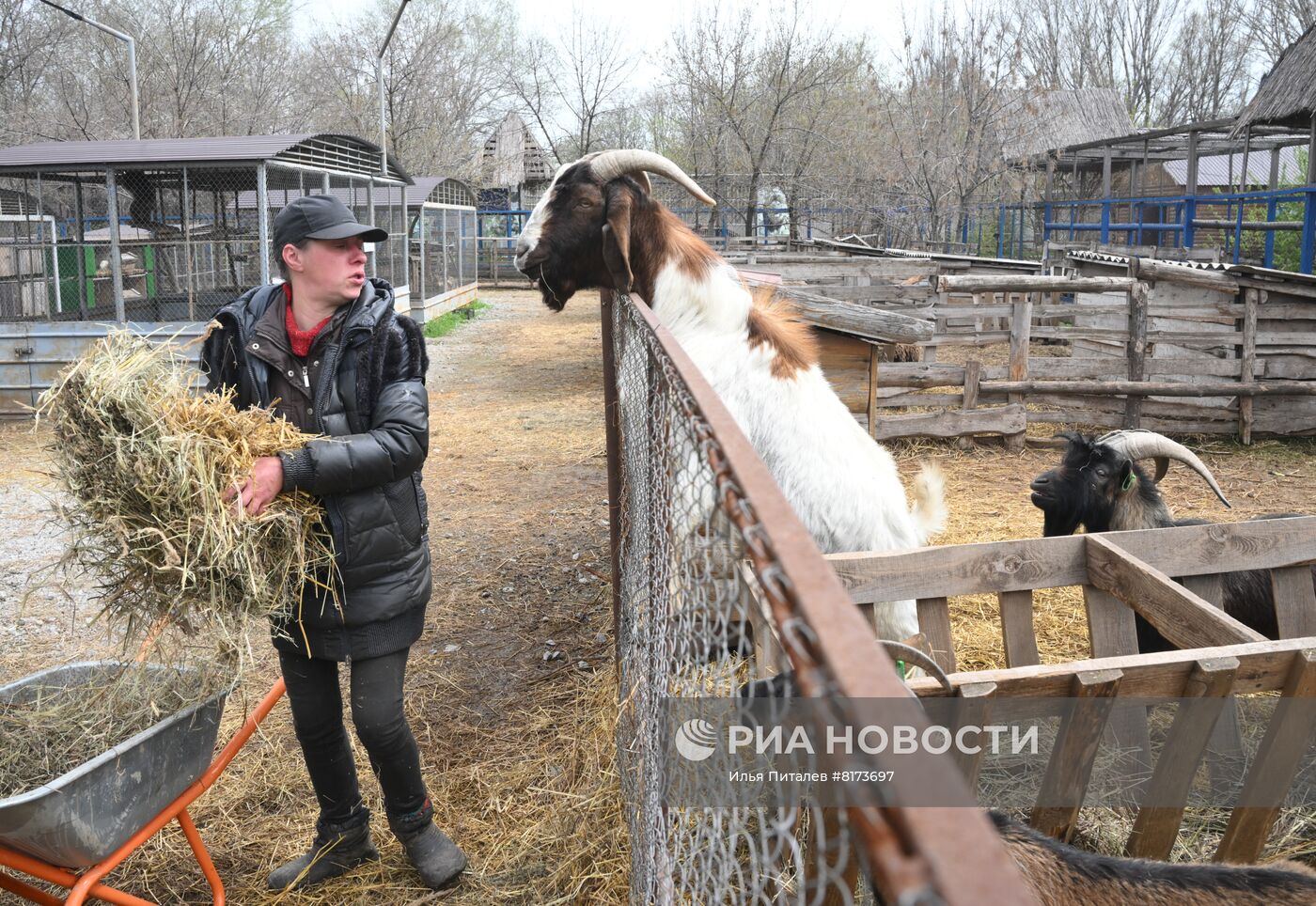 Мариупольский зоопарк