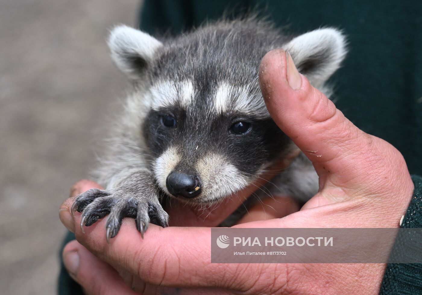 Мариупольский зоопарк